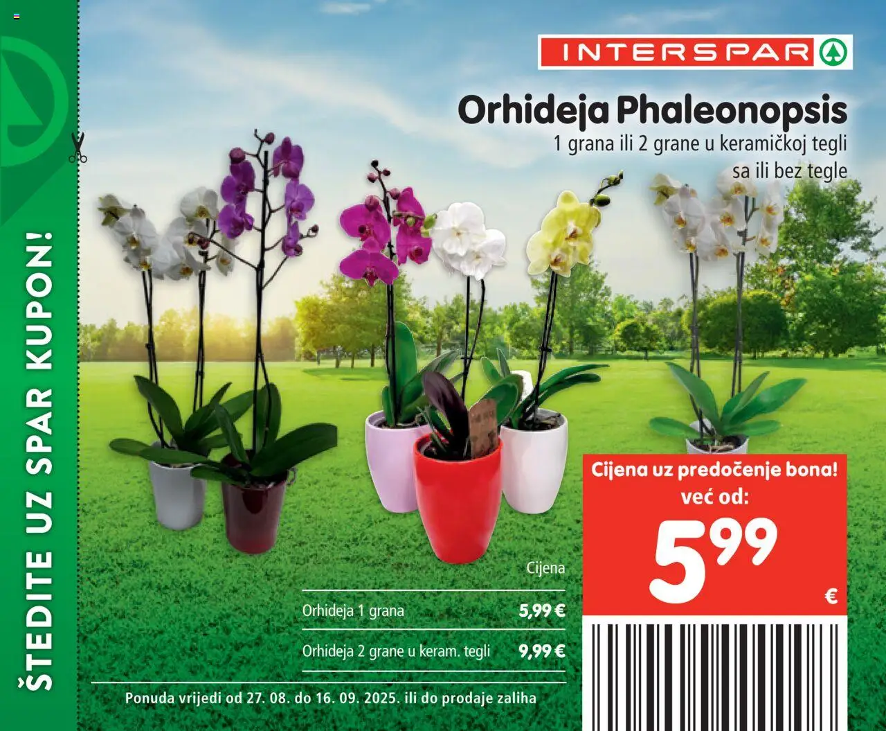 Interspar katalog | vrijedi od 27.08.2025 | Stranica: 55 | Proizvodi: Orhideja