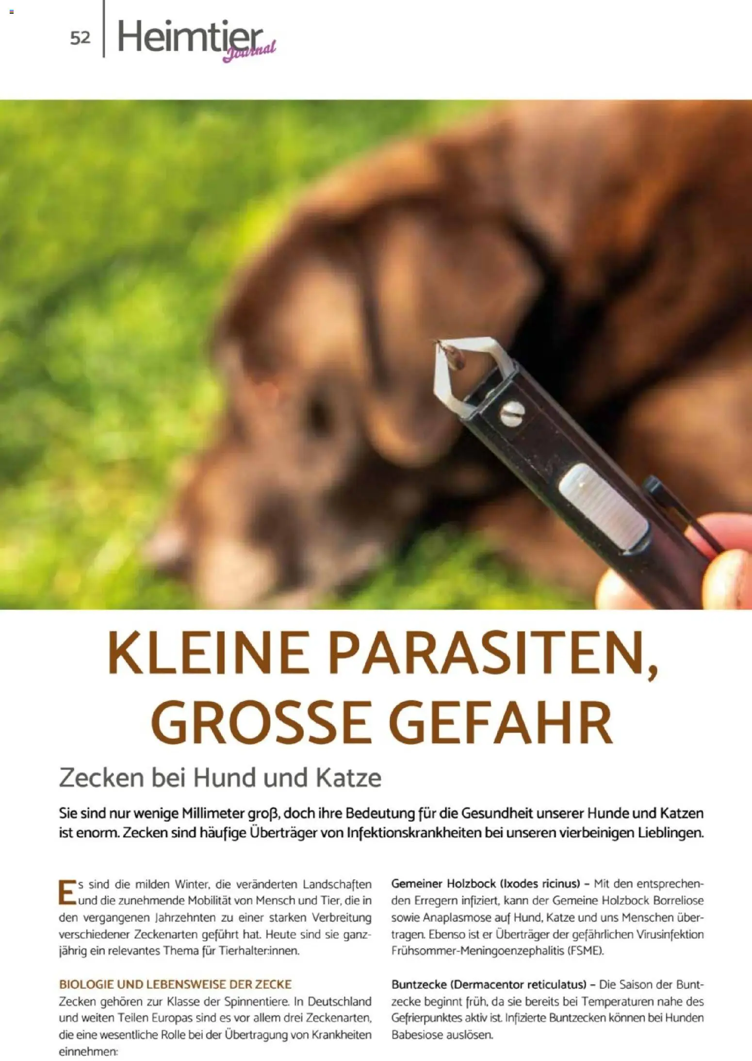 zookauf Heimtier Journal – gültig ab 01.04.2026 | Seite: 52