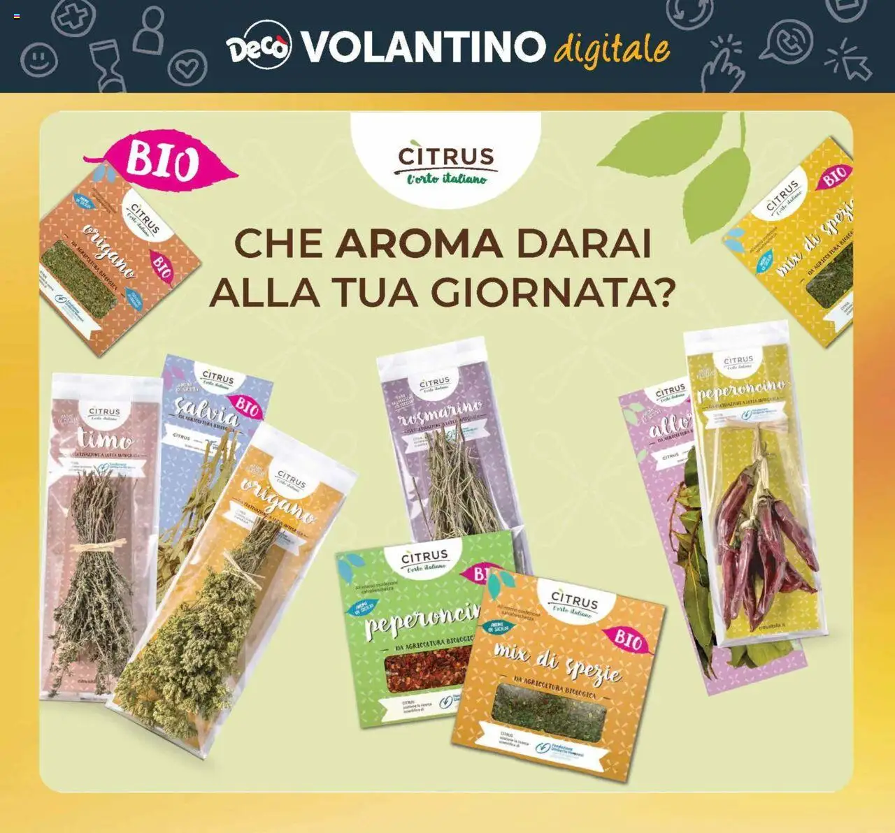 Volantino Decò del 03.10.2025 | Pagina: 22 | Prodotti: Rosmarino, Spezie, Peperoncino