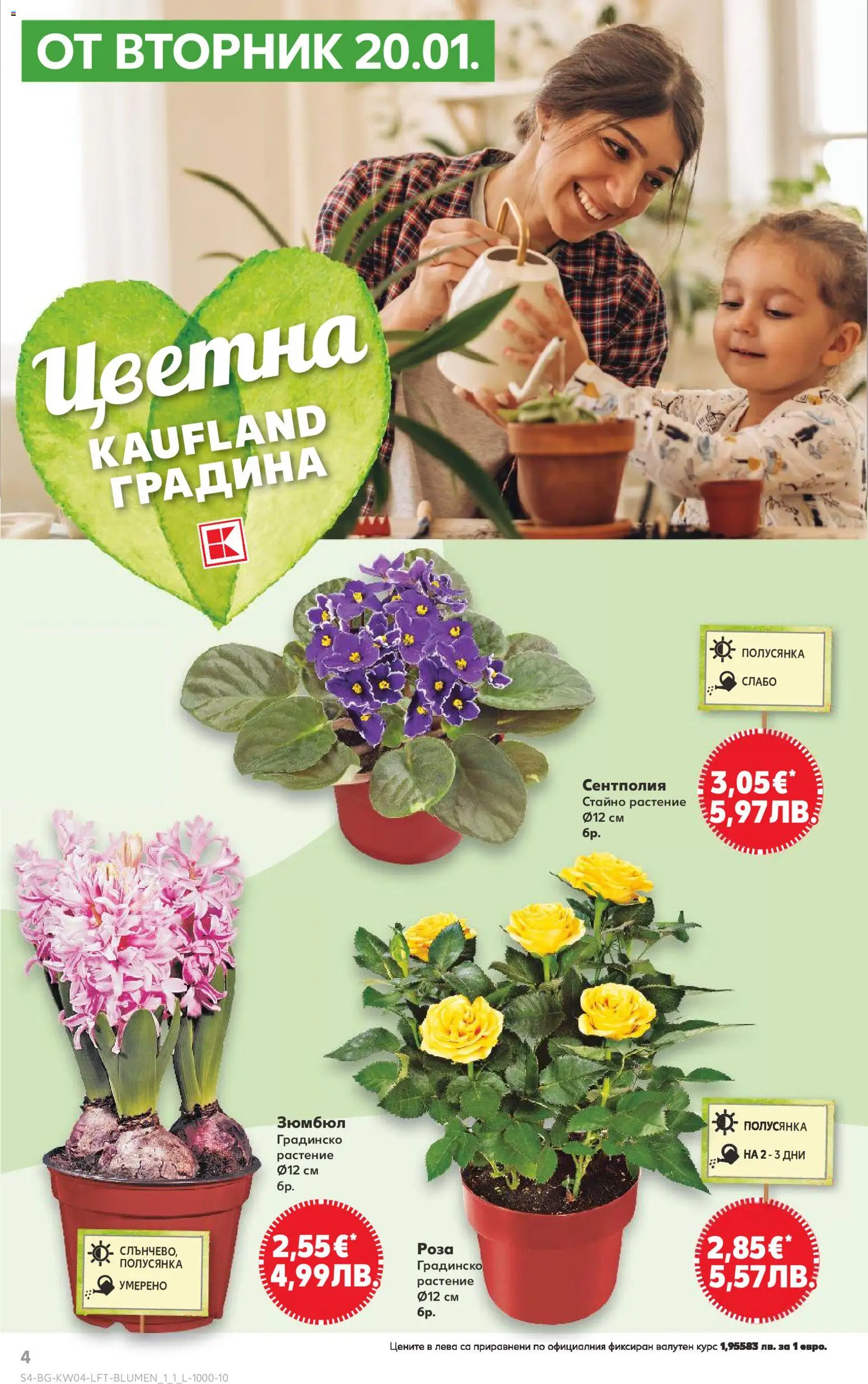 {H1} | Страница: 4 | Продукти: Роза