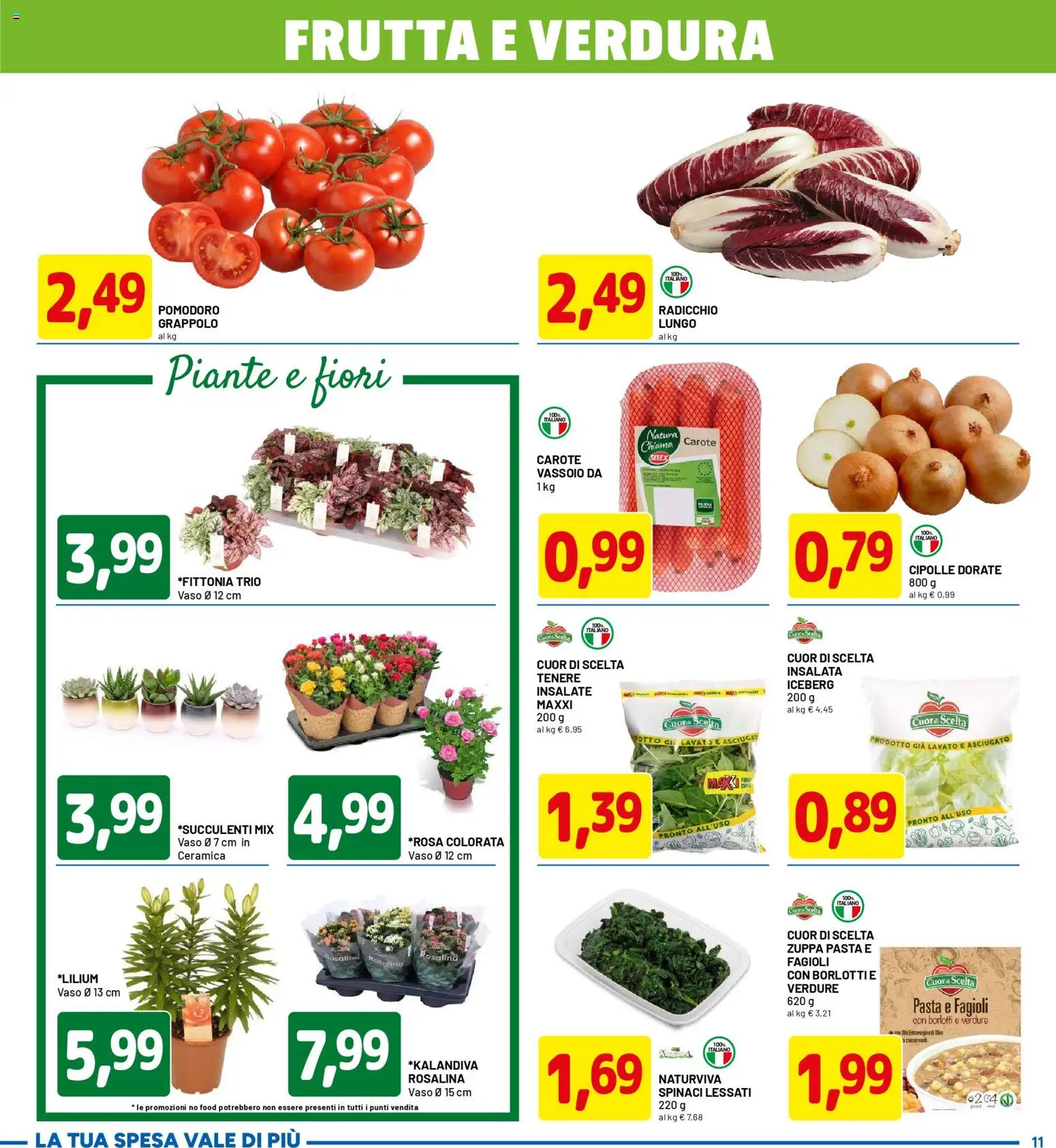 Volantino D Più del 06.11.2025 | Pagina: 11 | Prodotti: Fagioli, Cipolle, Verdure, Vassoio