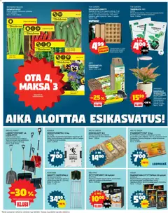 Tokmanni-mainoslehti voimassa 26.01.2026 alkaen | Sivu: 12 | Tuotteet: Multa, Kansi