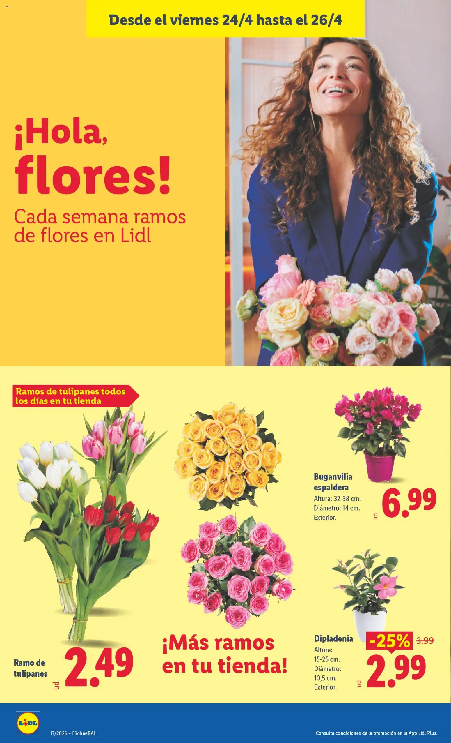 Lidl folleto │ válido desde el 20.04.2026 | Página: 46