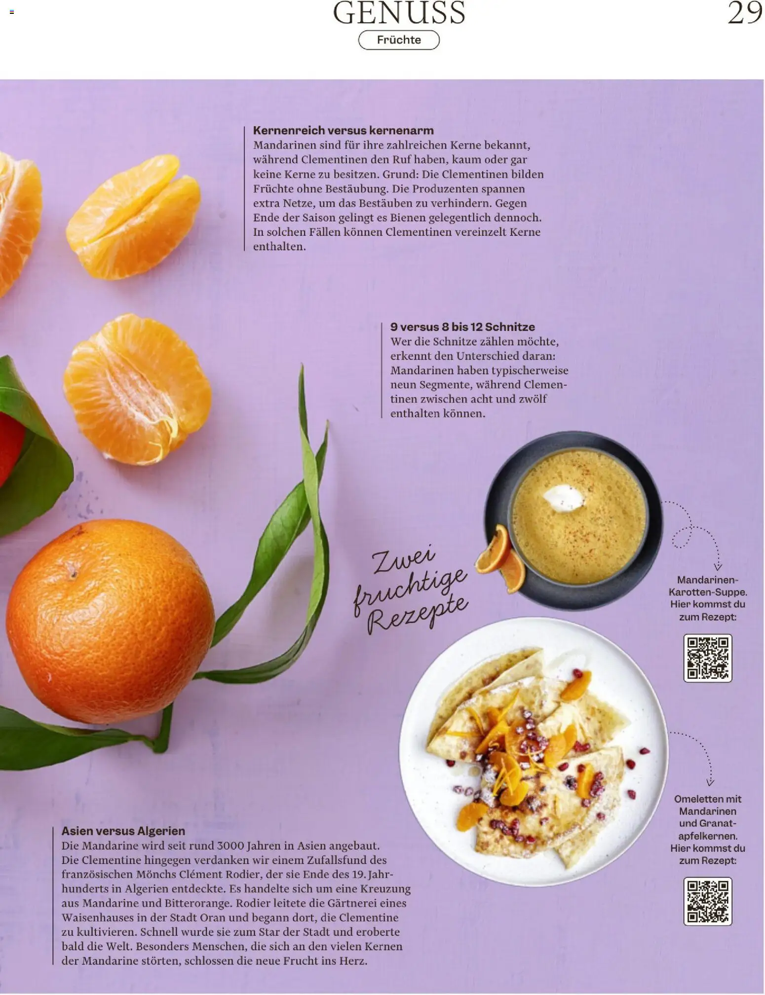 Migros Magazin – gültig ab 16.12.2025 | Seite: 29 | Produkte: Bilden, Mandarinen, Früchte