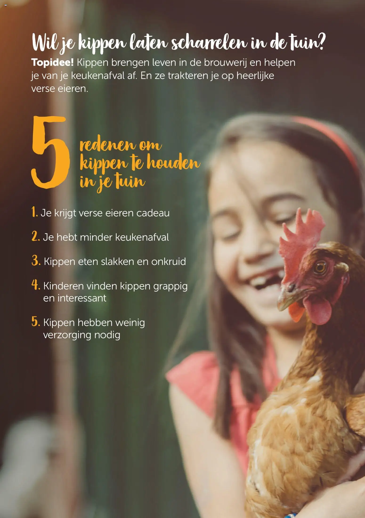 {H1} | Pagina: 2 | Producten: Eieren