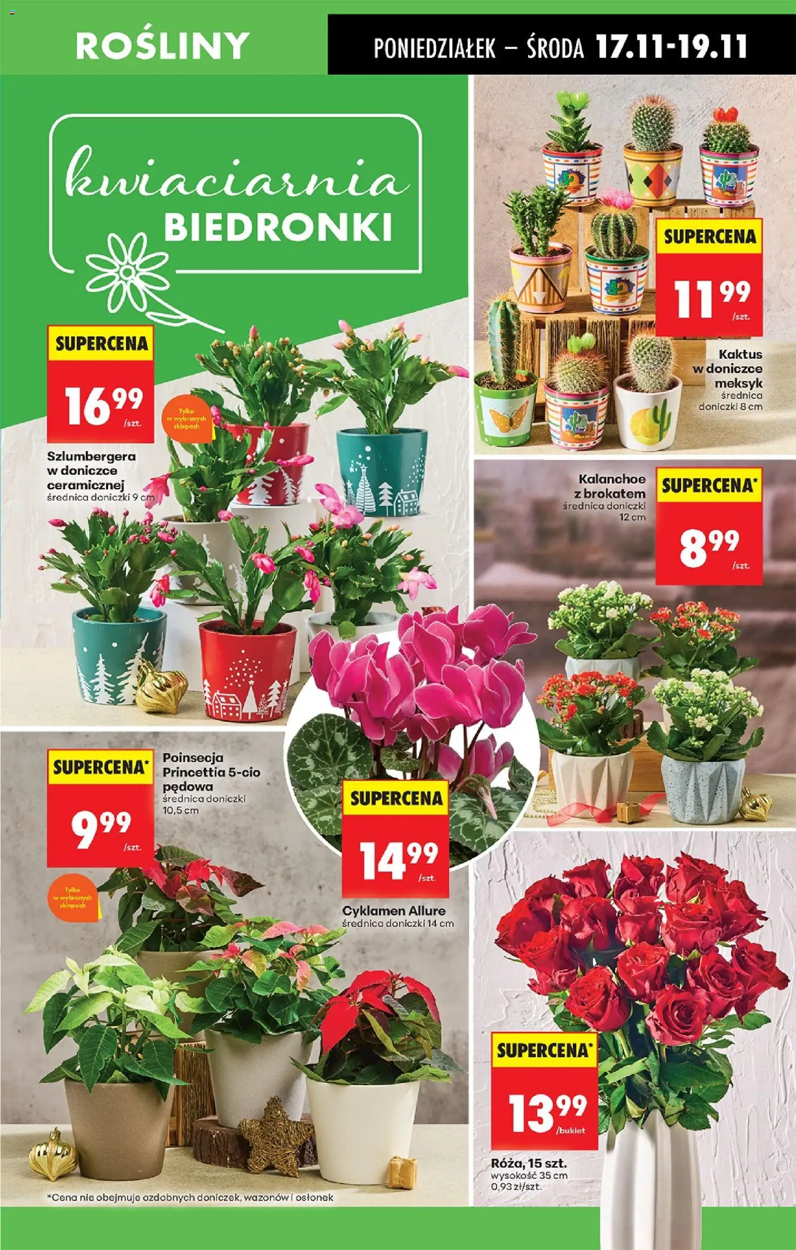 Biedronka gazetka od 17.11.2025 | Strona: 25 | Produkty: Rosliny, Doniczki, Kalanchoe