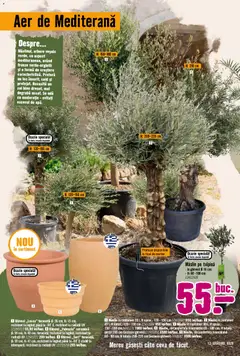 Ofertele Hornbach valabile de la 23.03.2026 | Pagină: 12