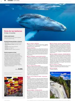 Vista previa Viajes El Corte Inglés Norteamérica y Caribe válido desde el 01.01.2026 | Página: 64