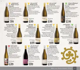Edeka Struve Wein– und Spirituosen ab 14.11.2025 gültig | Seite: 17 | Produkte: Rotwein, Spargel, Meeresfrüchte, Wein