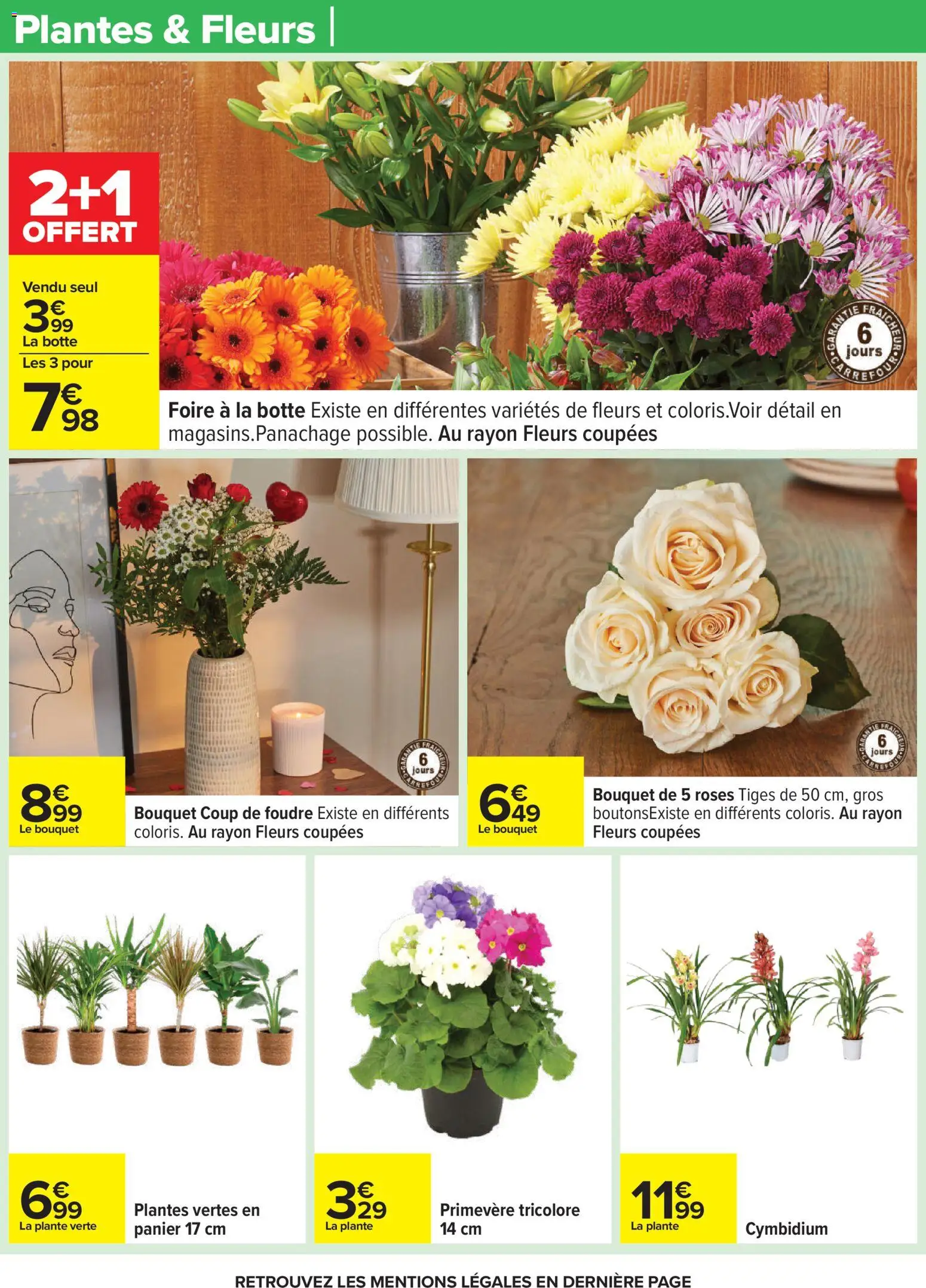 {H1} | Page: 22 | Produits: Plantes, Plante verte, Panier