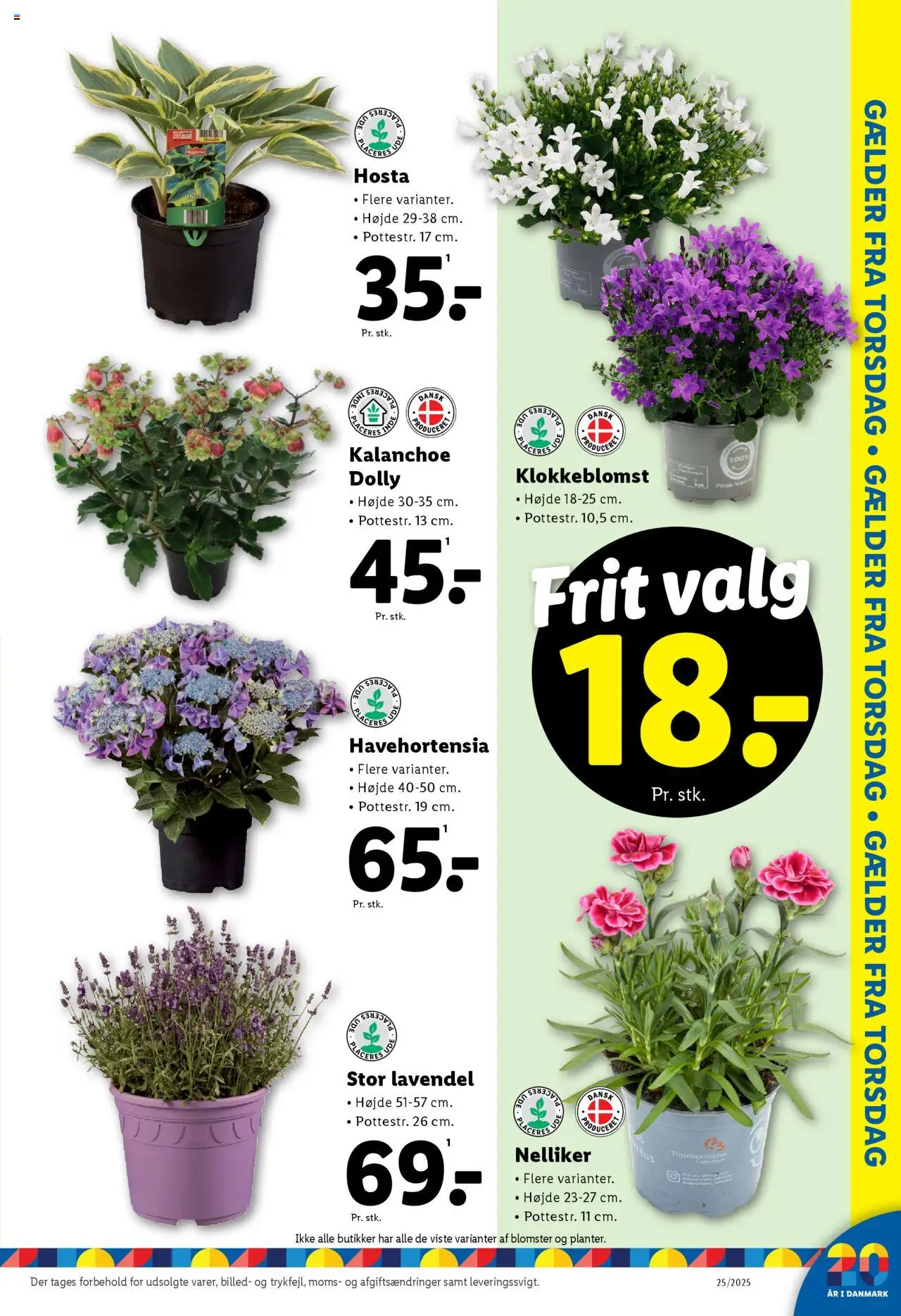 Lidl Tilbudsavis gyldig fra 19.06.2025 | Side: 13