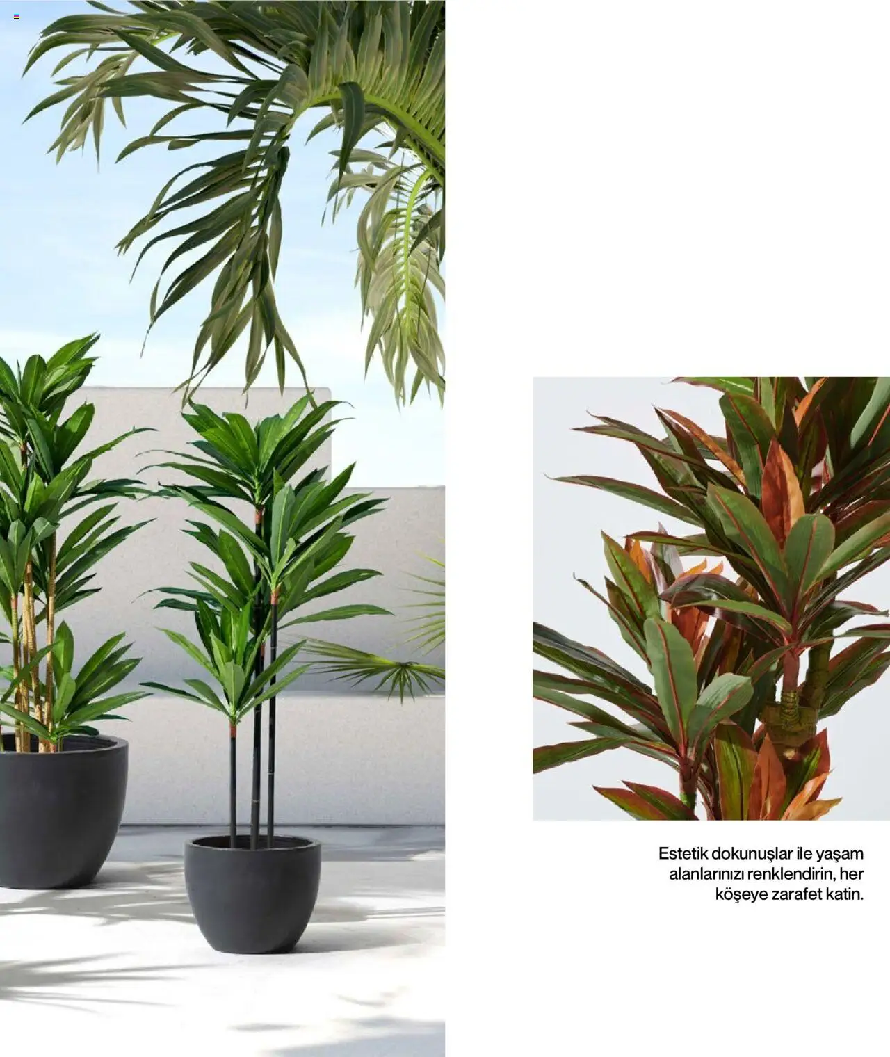 Mudo Katalog - BAHÇE 2025 - 04.06.2025 tarihinden itibaren geçerlidir | Sayfa: 167