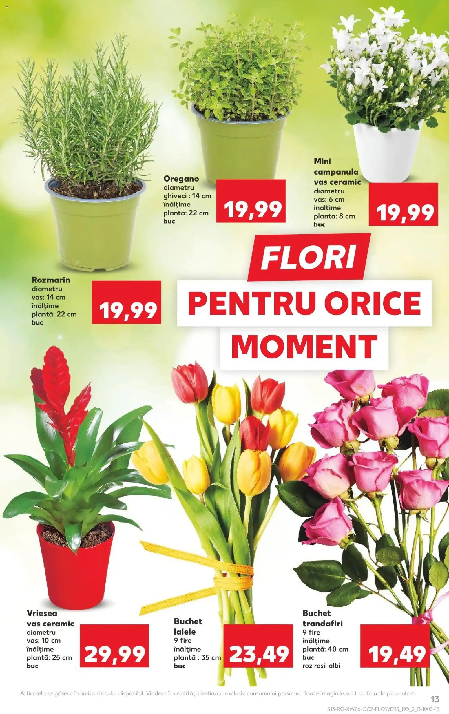 Noul catalog Kaufland – valabil de la 04.02.2026 | Pagină: 13 | Produse: Ghiveci, Roșii