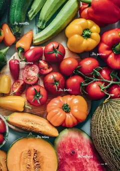  | Page: 11 | Produits: Melon, Tomates