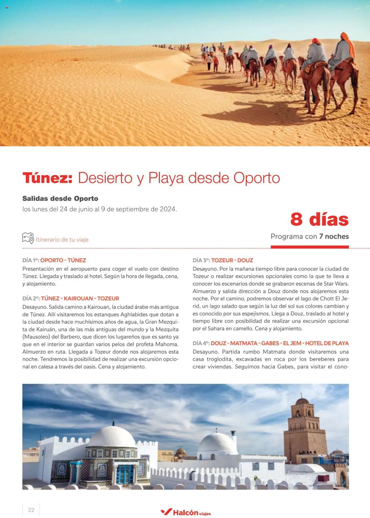 Halcón Viajes Túnez │ válido desde el 21.05.2024 | Página: 22 | Productos: Té