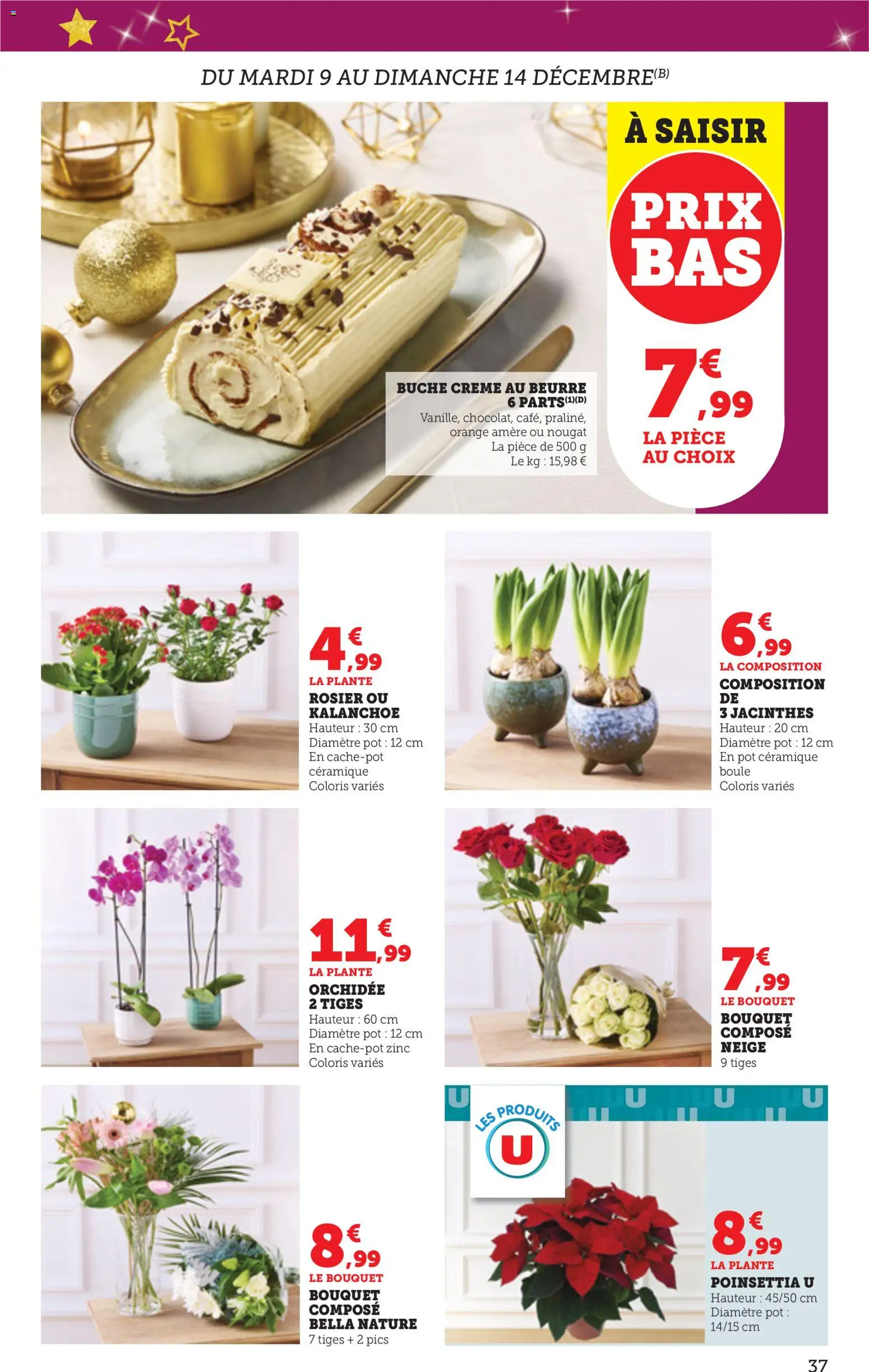 {H1} | Page: 37 | Produits: Poinsettia, Rosier, Orchidée, Beurre