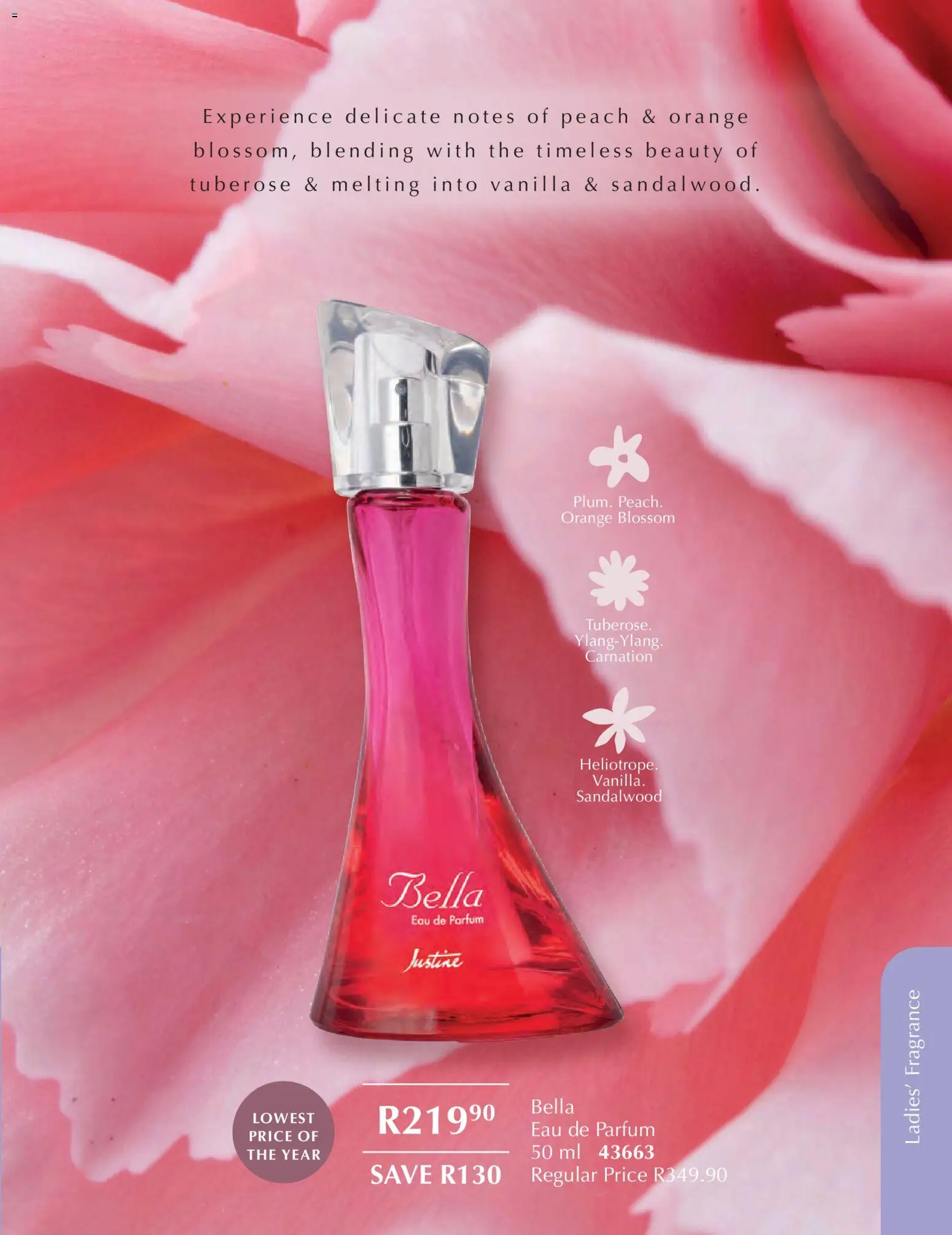 New Justine catalogue – valid from 01.02.2026 | Page: 55