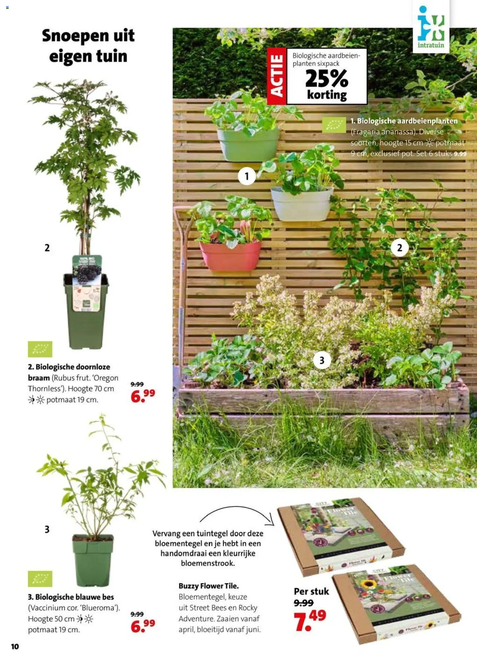 {H1} | Pagina: 10 | Producten: Aardbeien