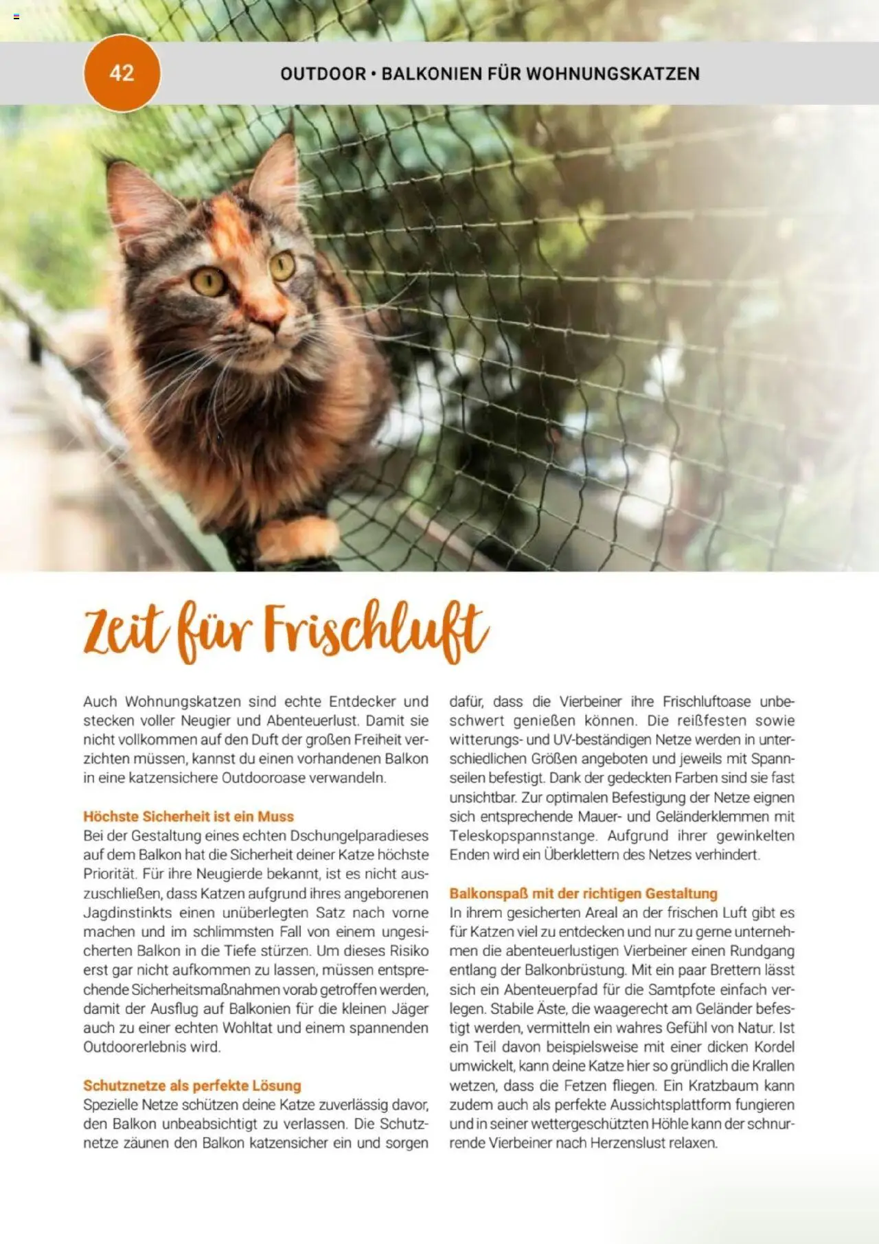 zookauf Themenkatalog Katze – gültig ab 01.10.2025 | Seite: 42 | Produkte: Duft