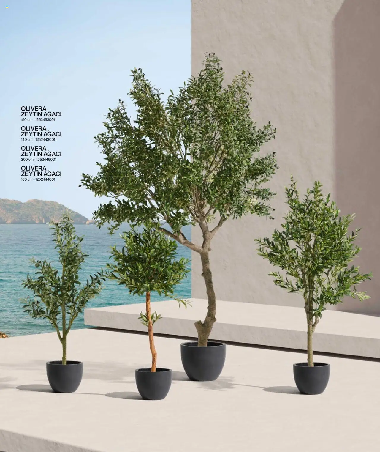 Mudo Katalog - BAHÇE 2025 - 04.06.2025 tarihinden itibaren geçerlidir | Sayfa: 156 | Ürünler: Zeytin