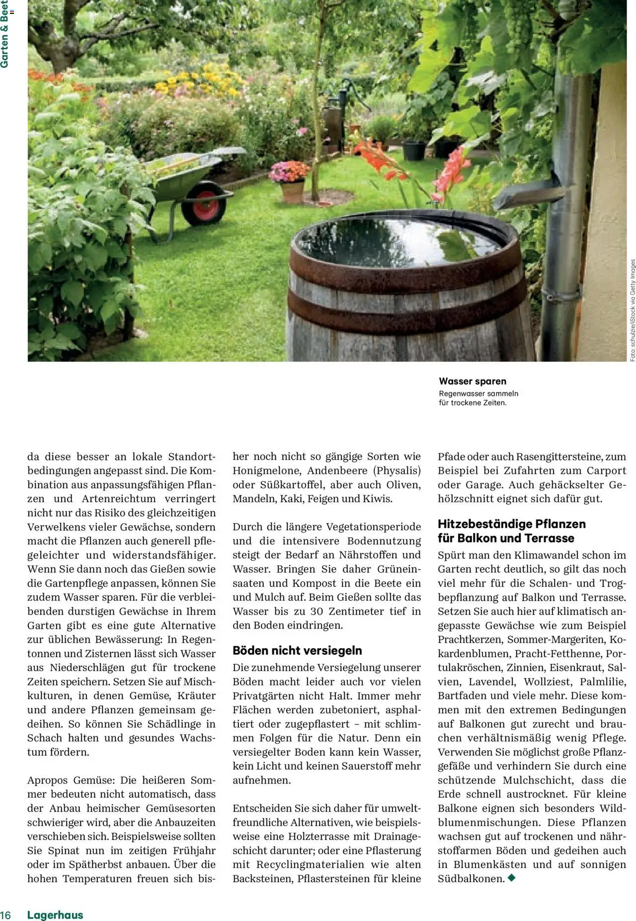 Lagerhaus Fürs Leben am Land Magazin gültig ab 28.04.2025 | Seite: 16 | Produkte: Wasser, Gemüse
