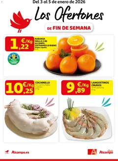 Vista previa Alcampo - Pasamanos  válido desde el 03.01.2026