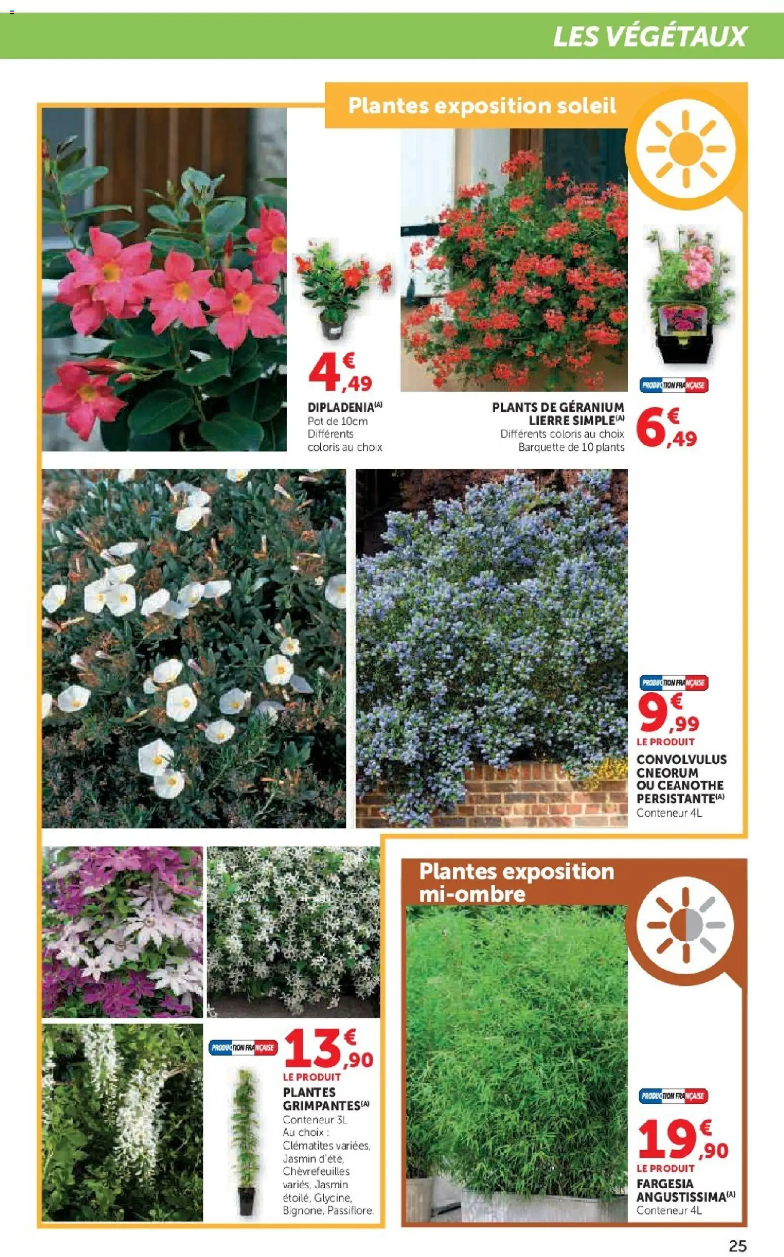 {H1} | Page: 25 | Produits: Plantes, Géranium