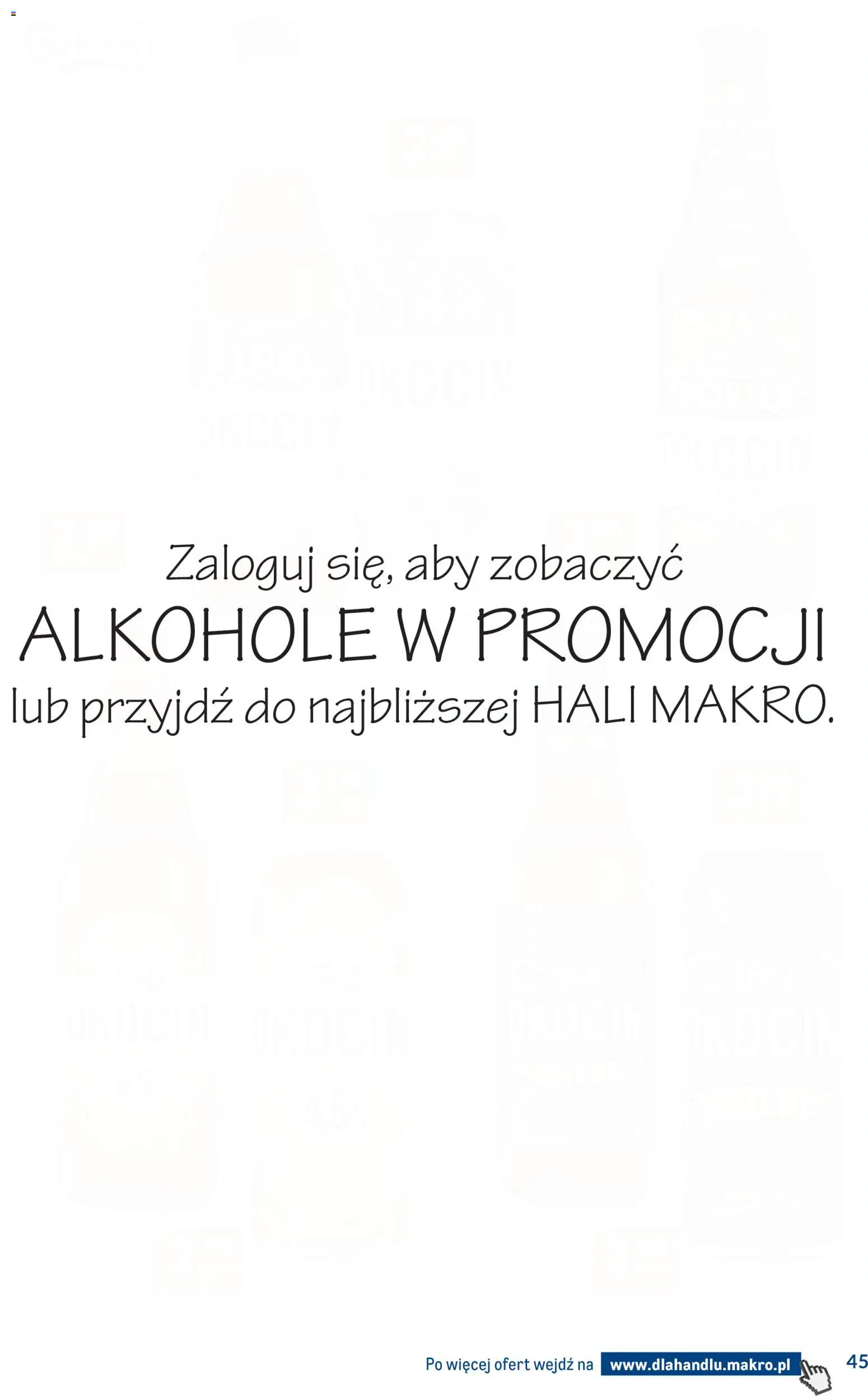 Makro Gazetka - Dystrybucja do sklepów od 27.12.2025 | Strona: 45