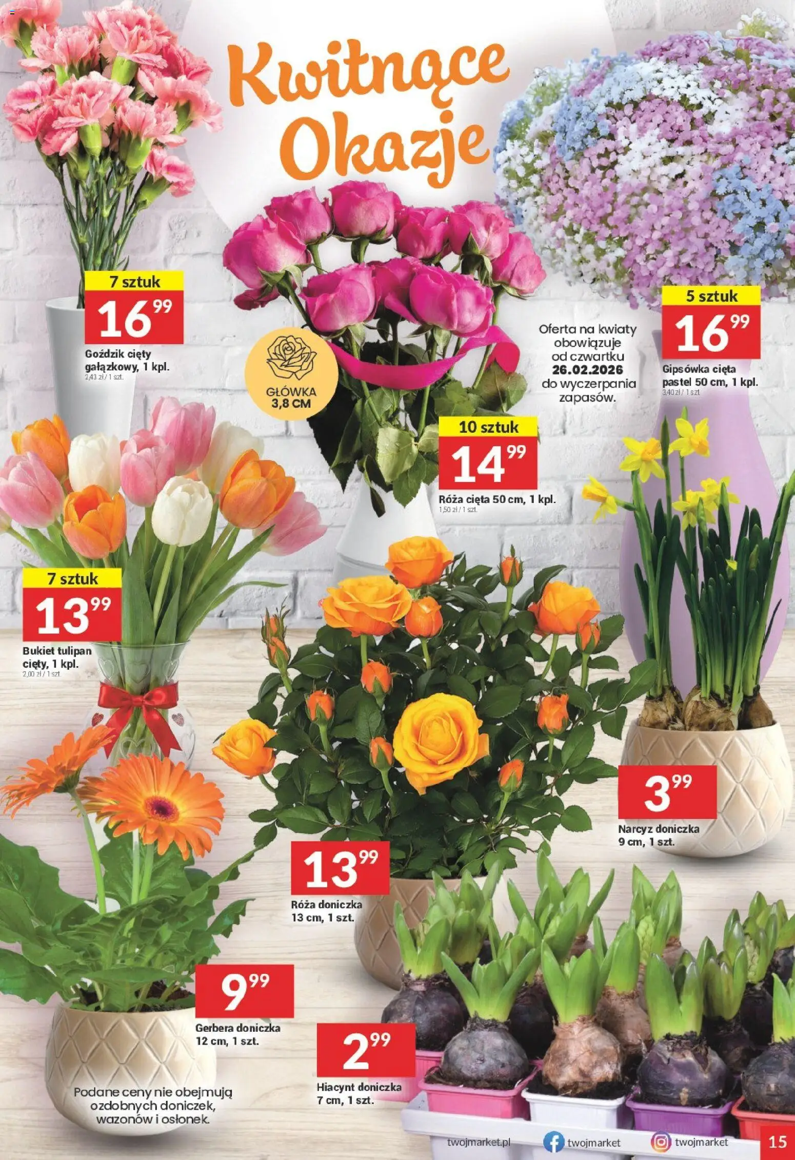 Twój Market Gazetka od 25.02.2026 | Strona: 15 | Produkty: Goździk, Doniczka, Kwiaty