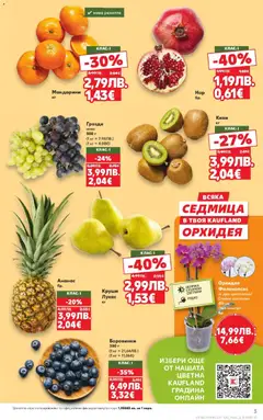 Преглед на Кауфланд - Спестявай с мега марки в Kaufland с валидност до 02.11.2025 - Офертите са валидни от 26.10.2025 | Страница: 3 | Продукти: Киви, Боровинки, Мандарини, Ананас