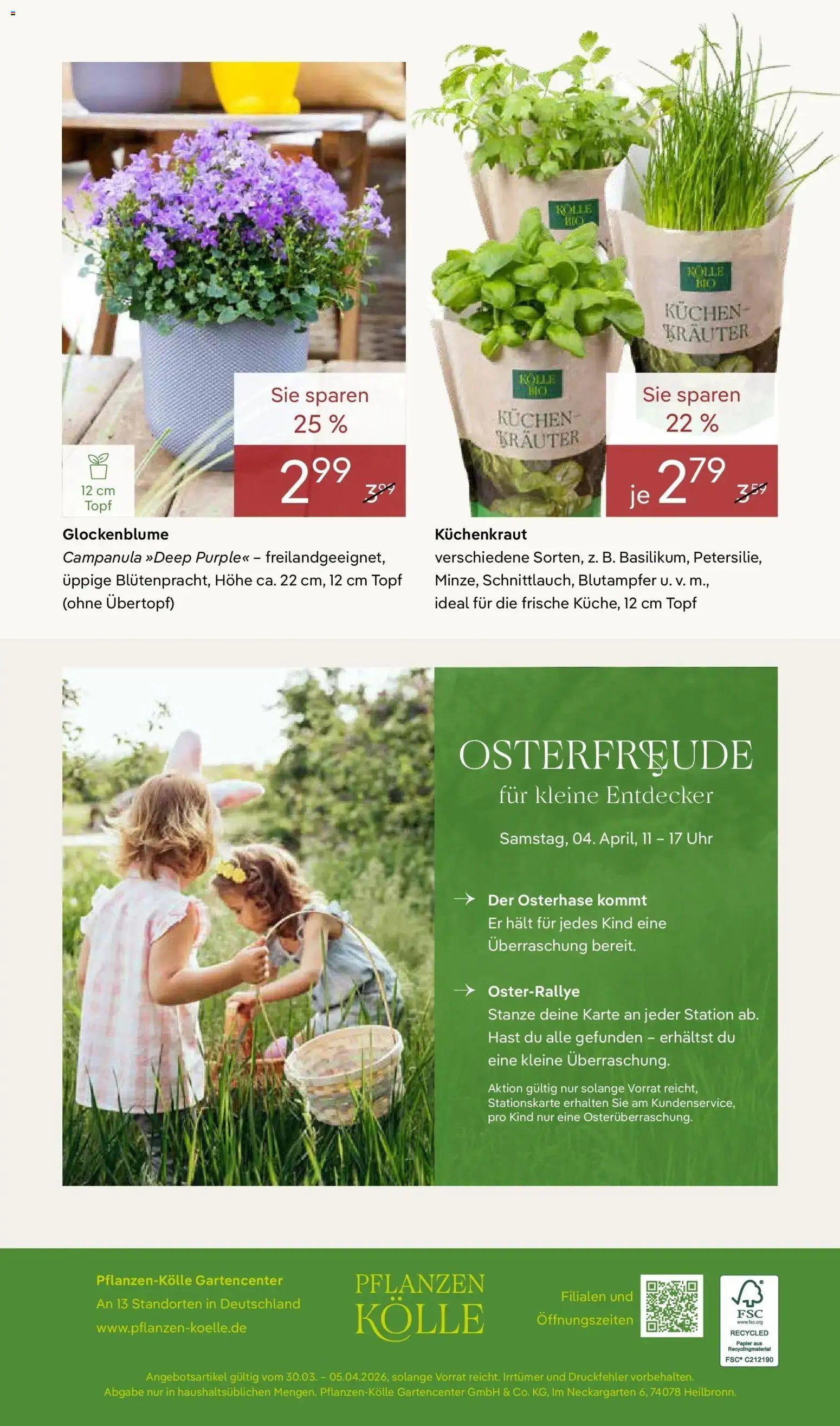 Pflanzen-Kölle - Pflanzen-Kölle: Blühende Osterzeit – gültig ab 30.03.2026 | Seite: 14 | Produkte: Kuchen, Uhr
