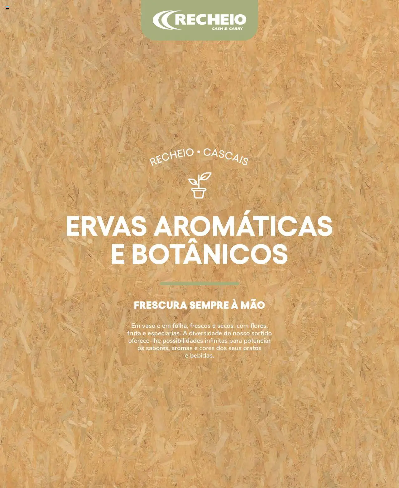 Recheio Frutas e Legumes │ válido de 19.09.2024 | Página: 56 | Produtos: Pratos, Vaso