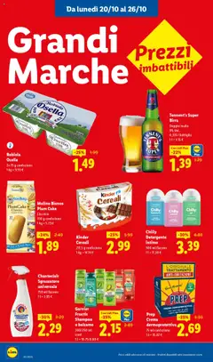 Anteprima del volantino Garnier Fructis Shampoo o balsamo, 200/250 ml conf. valido a partire dal 20.10.2025 | Pagina: 14