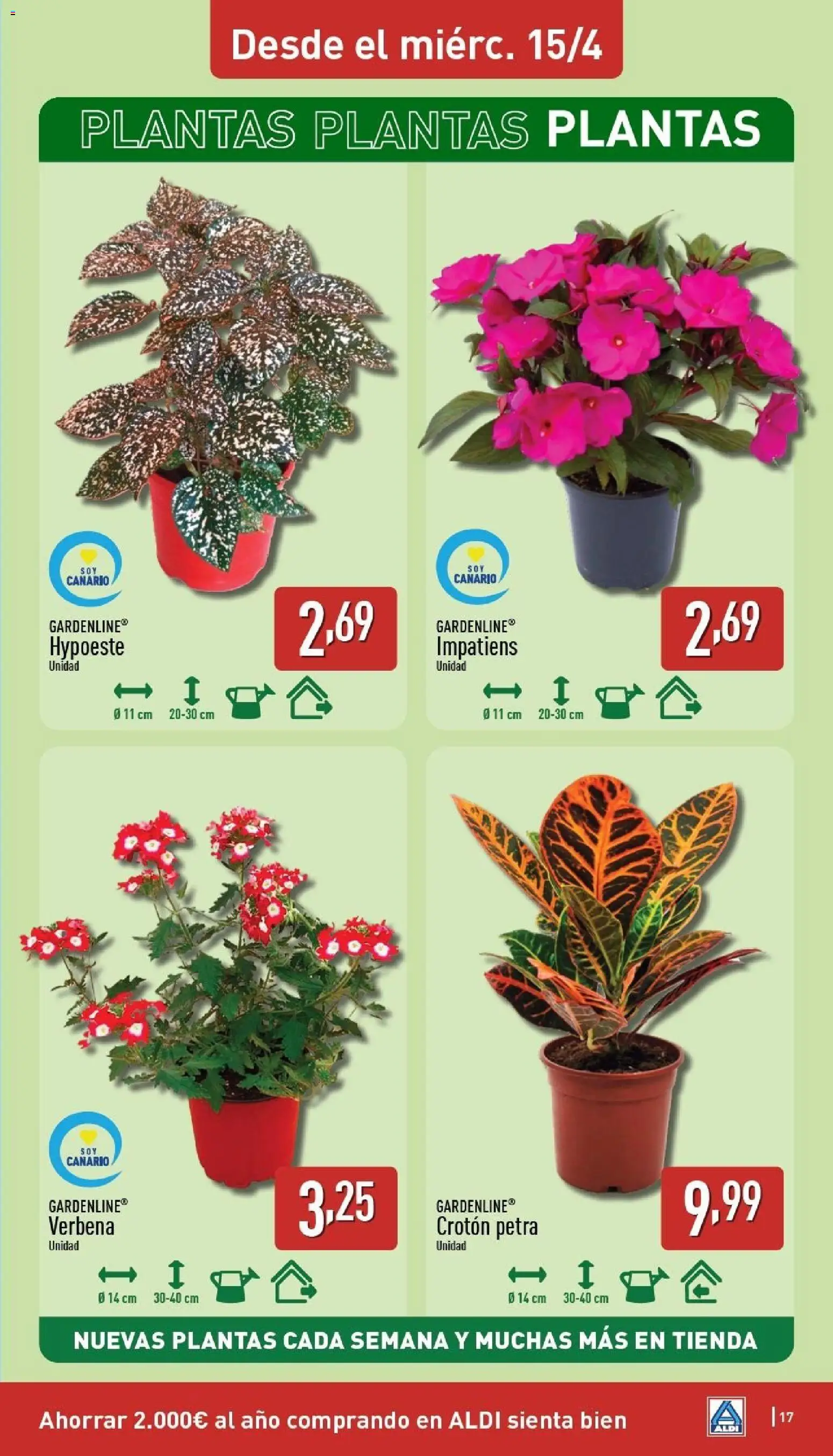 Aldi folleto Canarias │ válido desde el 13.04.2026 | Página: 17