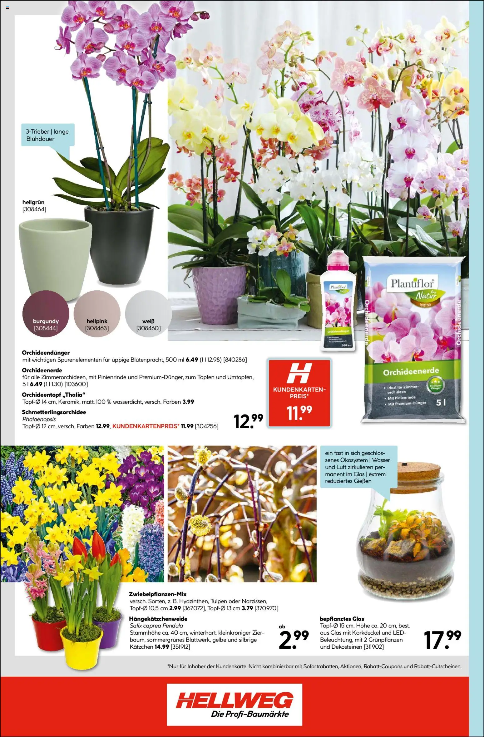 HELLWEG Flugblatt gültig ab 22.01.2026 | Seite: 16 | Produkte: Wasser