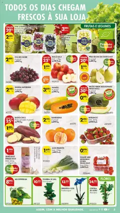 BATATA DOCE, Batata doce, polpa amarela a granel. │ válido de 09.09.2025 | Página: 5