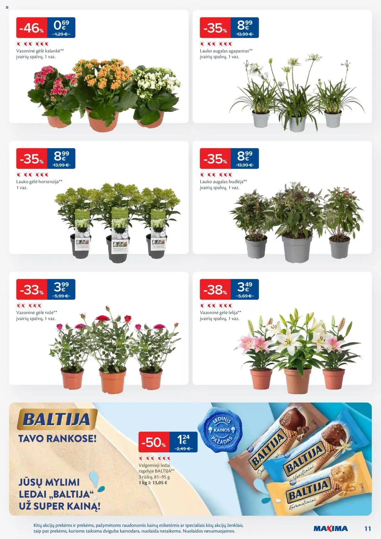 MAXIMA leidinys│galioja nuo 05.08.2025 | Puslapis: 11 | Prekių: Ledai, Valgomieji ledai