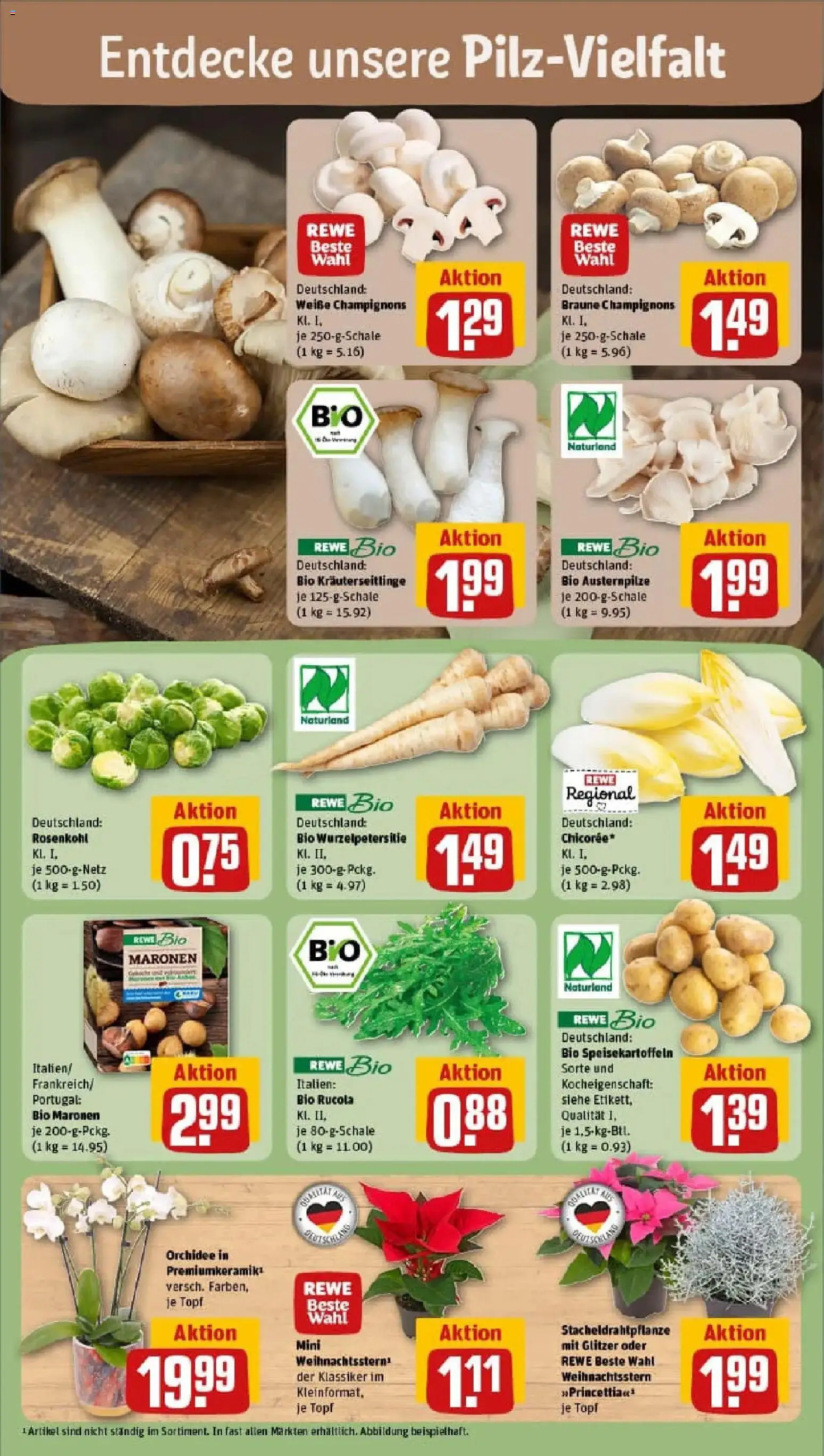 Rewe prospekt Berlin / Steglitz	 – gültig ab 02.11.2025 | Seite: 7 | Produkte: Orchidee, Rucola, Champignons