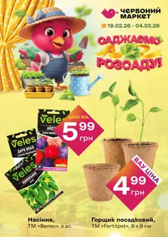 Рукавичка акції дійснийкції з 19.02.2026