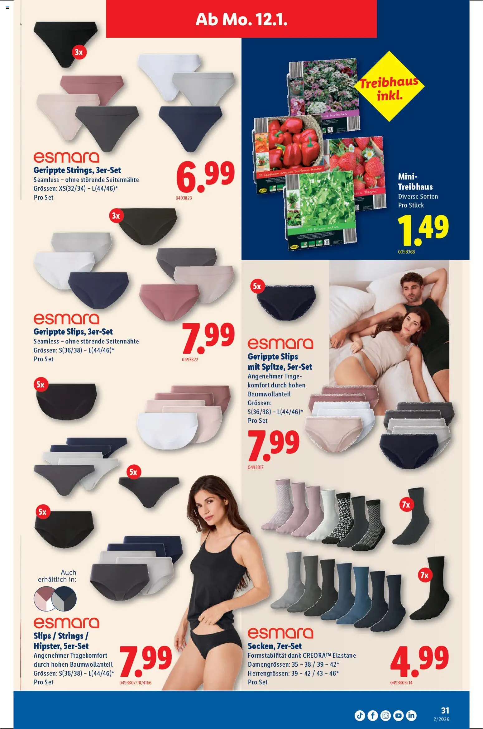 Lidl Aktionen – gültig ab 08.01.2026 | Seite: 31