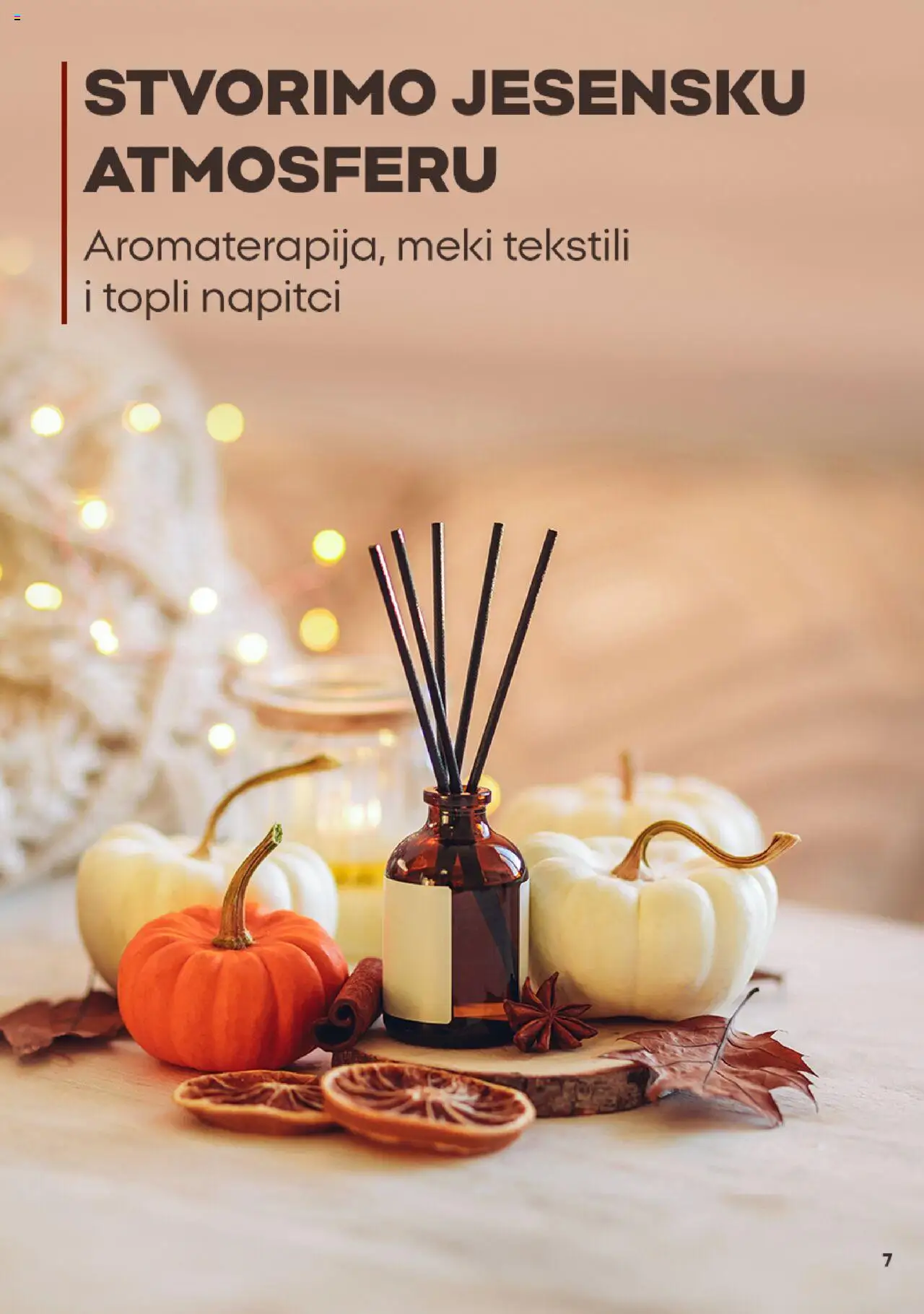 Pepco katalog | vrijedi od 03.10.2025 | Stranica: 7