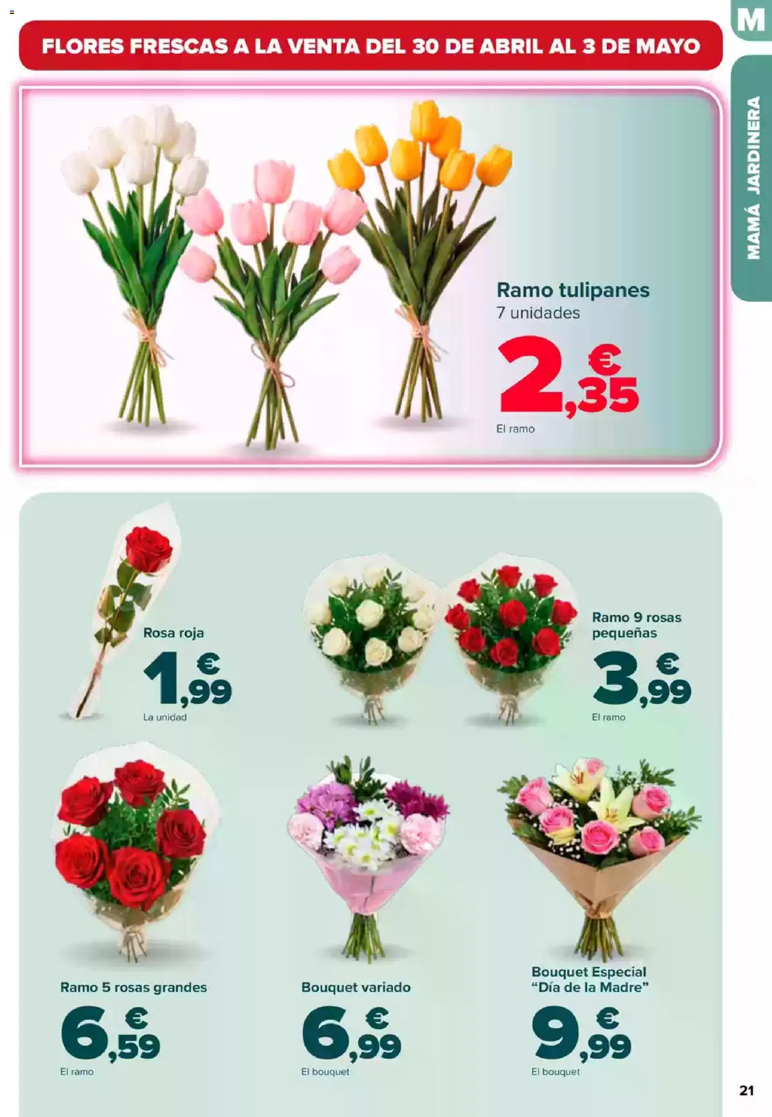 Carrefour Dia de la Madre │ válido desde el 23.04.2026 | Página: 21 | Productos: Jardinera