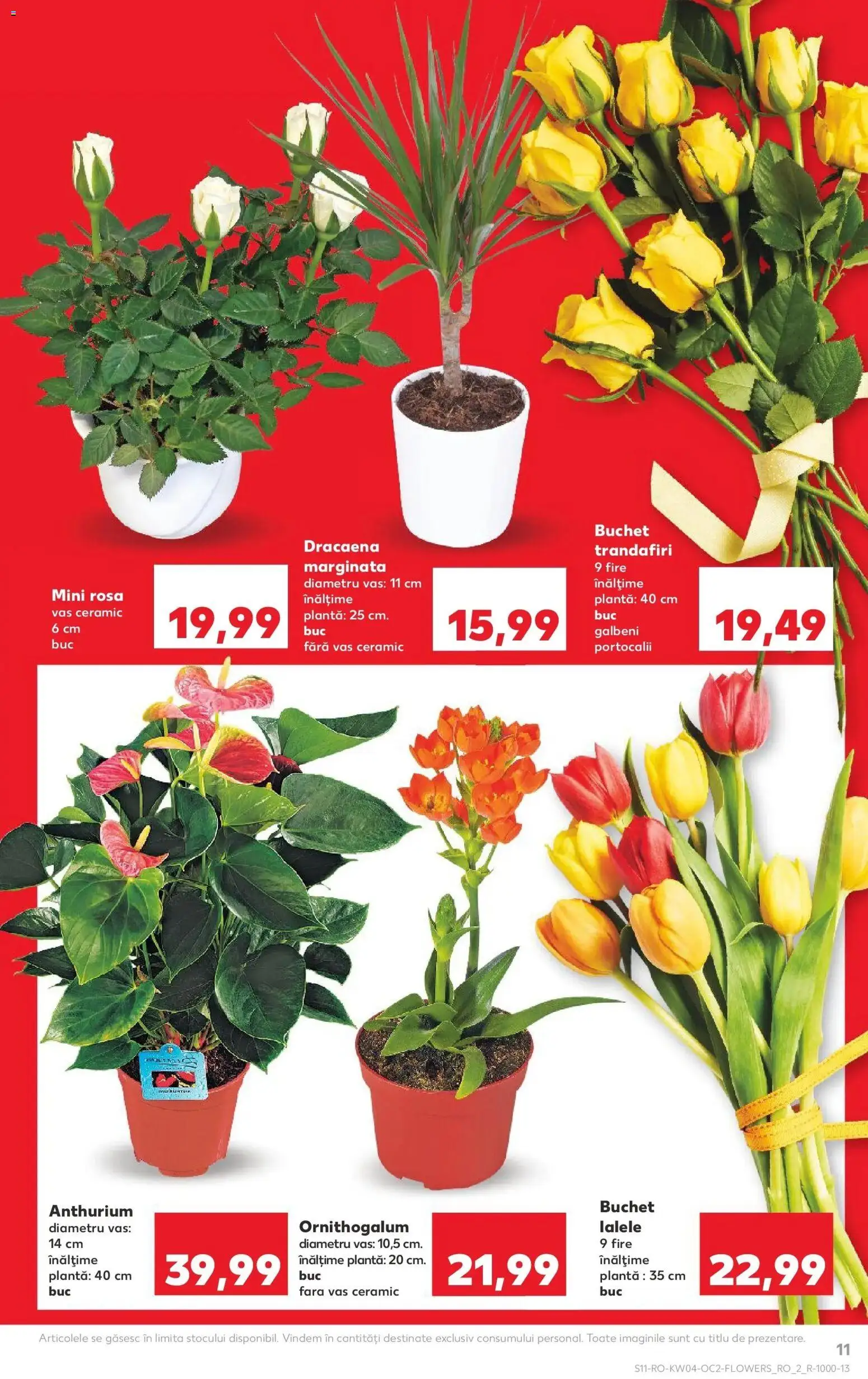 Noul catalog Kaufland – valabil de la 21.01.2026 | Pagină: 11