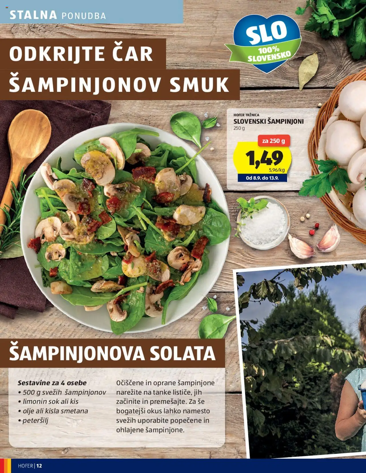 Novi Hofer katalog ponudbe – veljaven od 04.09.2025 | Stran: 12 | Izdelki: Olje, Sok, Kisla smetana, Solata