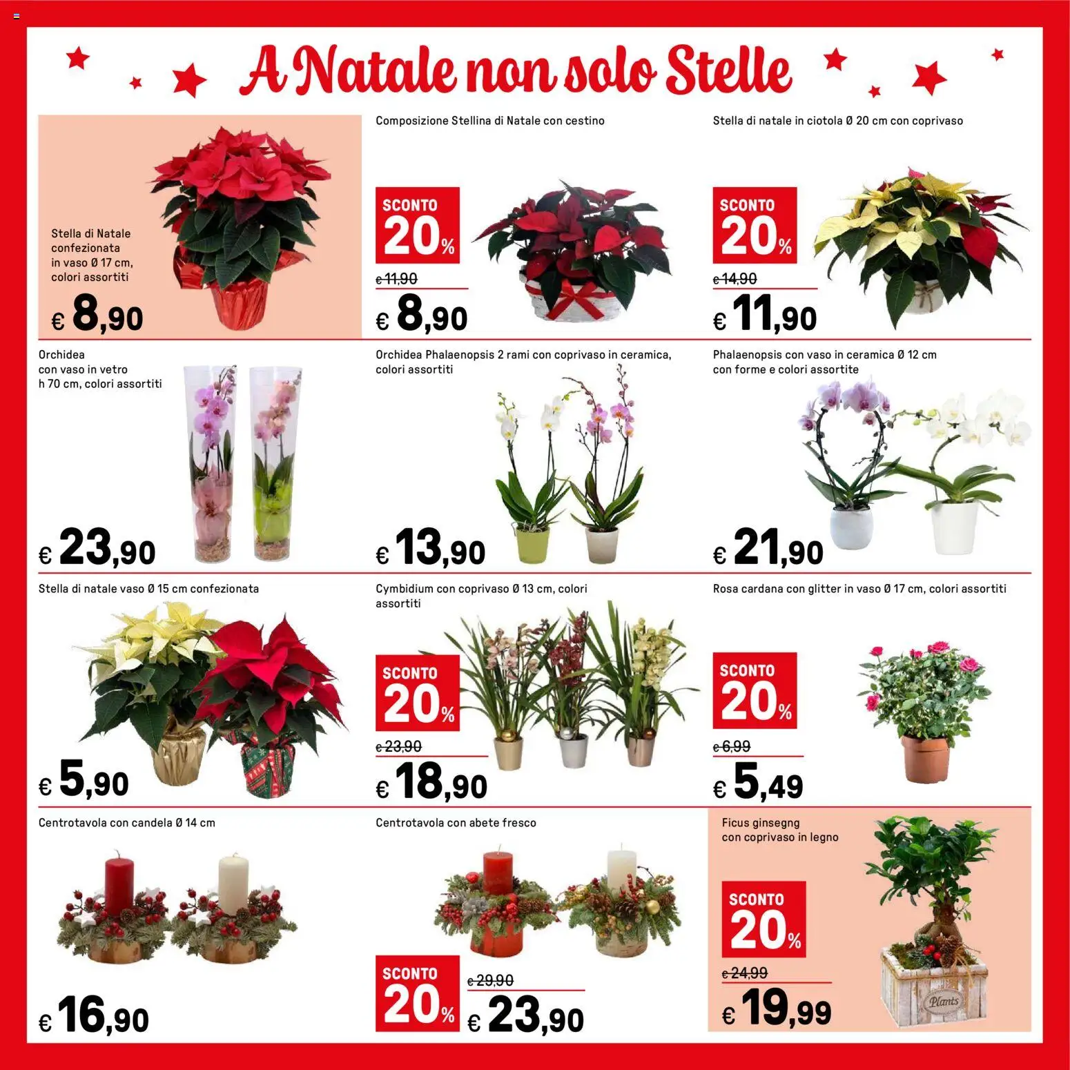 Volantino Iper del 15.12.2025 | Pagina: 37 | Prodotti: Orchidea, Cestino, Candela, Vaso