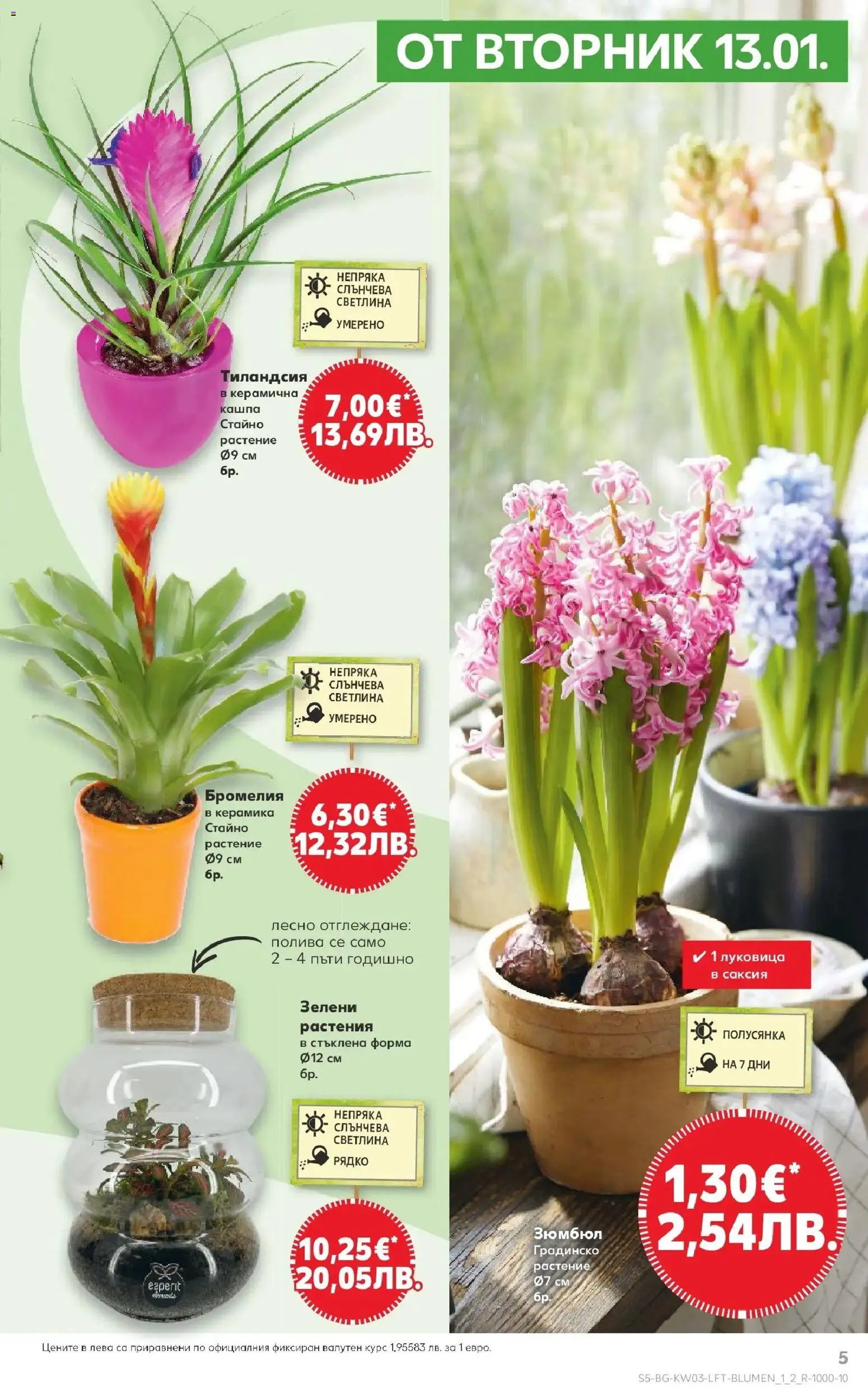 {H1} | Страница: 5 | Продукти: Кашпа, Саксия