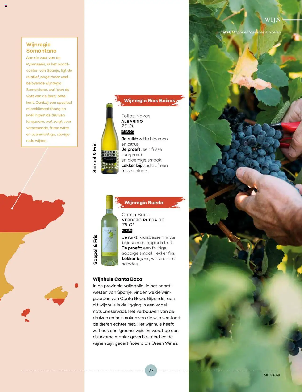  | Pagina: 27 | Producten: Wijn, Kisperec, Sushi, Druiven