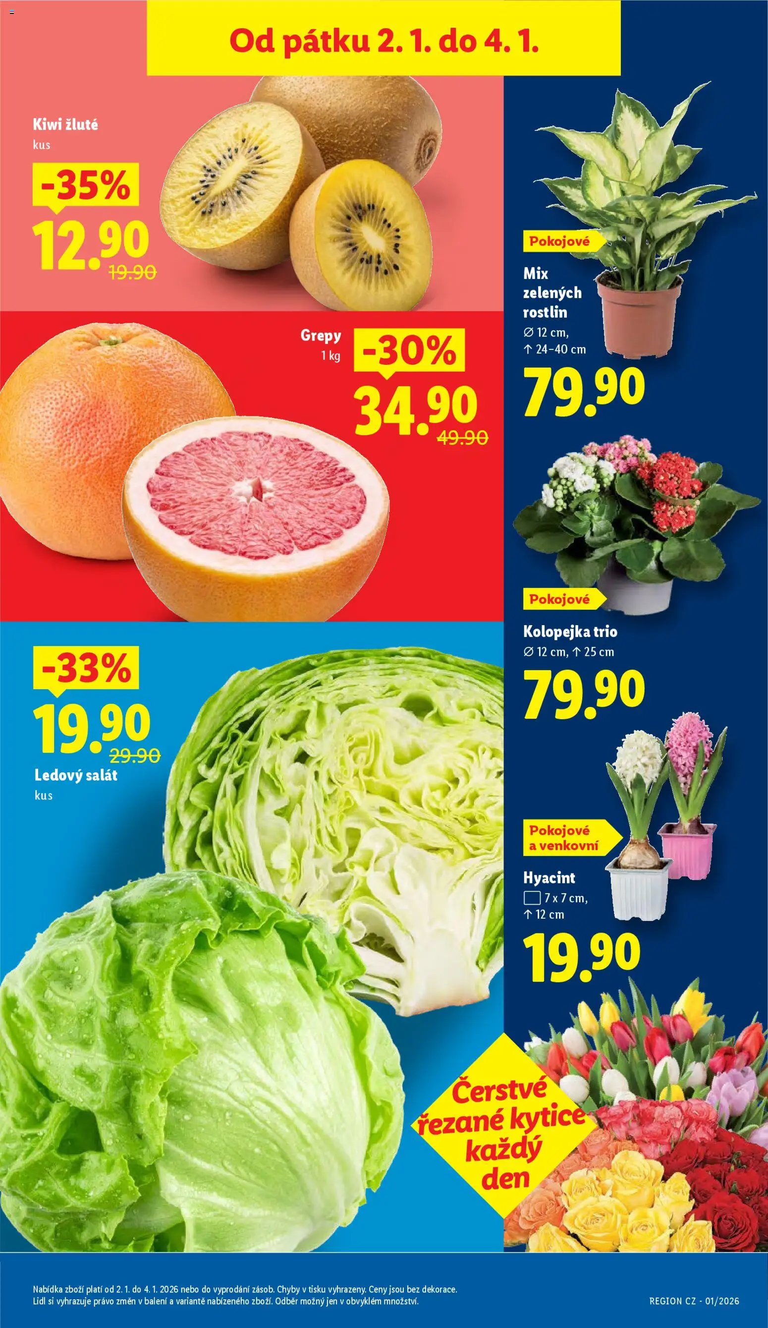 Lidl leták od 02.01.2026 | Strana: 9 | Produkty: Salát, Kytice, Kiwi žluté, Ledový salát