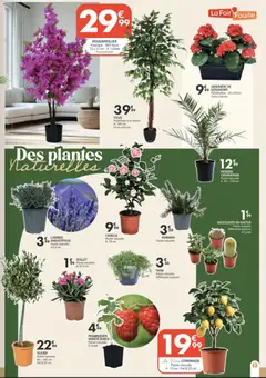 La Foir'Fouille - Prévisualisation de La Foir'Fouille catalogue semaine 8 valide à partir de 16.02.2026 | Page: 15