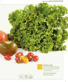 Pré-visualização Recheio - Catálogo de Alfragide válido de 16.03.2026 | Página: 11 | Produtos: Tomates, Tomate